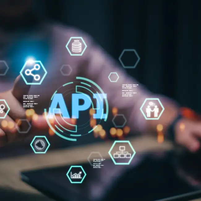 API integration services