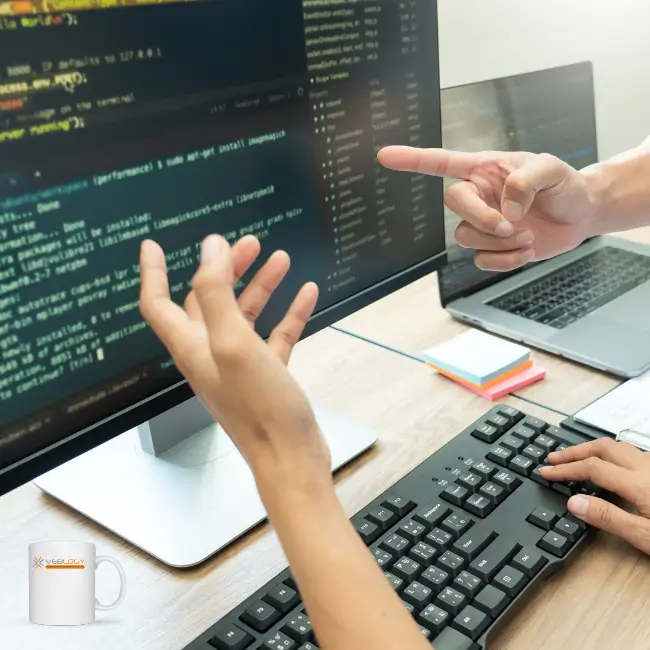 Person explaining something to his collogue on computer screen