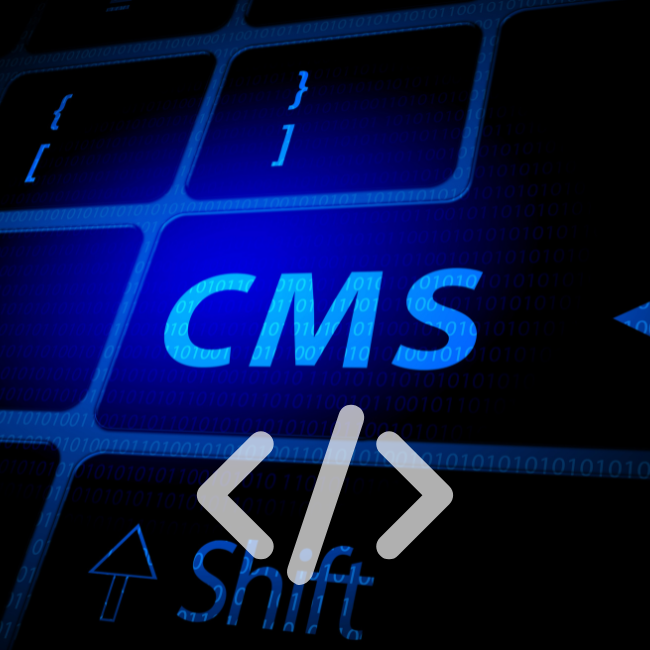 CMS Development services