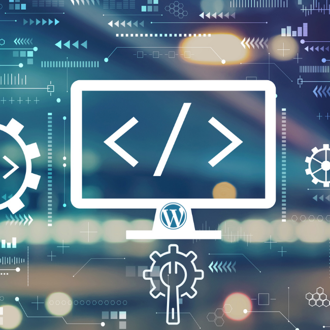 Image illustration to show wordpress customization